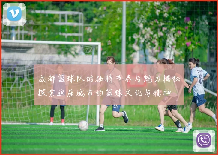 成都篮球队的独特节奏与魅力揭秘探索这座城市的篮球文化与精神