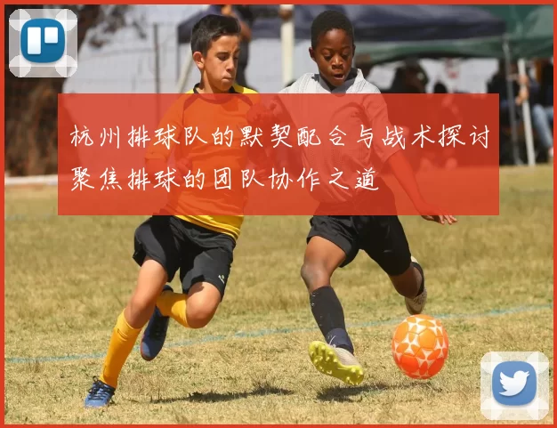 杭州排球队的默契配合与战术探讨聚焦排球的团队协作之道